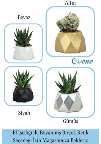 Evene Mini Sukulent Kaktüs Poly Model Saksı Siyah