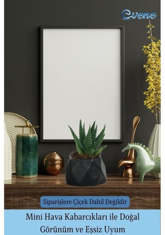 Evene Mini Sukulent Kaktüs Poly Model Saksı Siyah
