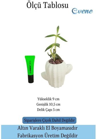 Evene Mini Çiçek Küçük Sukulent Kaktüs Kaktüs Figür Model Saksı Beyaz