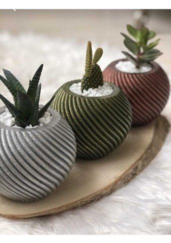 Florada Sukulent 3 Adet Çiçekli Set Dekoratif Sevimli Toplar Saksı