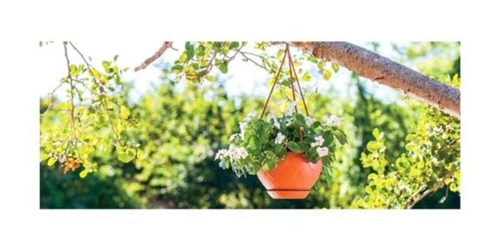 Serinova Askılı Damla Makrome 3 lt Saksı