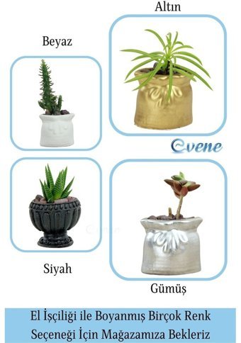Evene Mini Küçük Sukulent Kaktüs Kese Model Saksı Gümüş