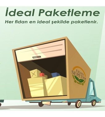 Fidansepetim Istanbul Balkon 9 lt Saksı Yeşil