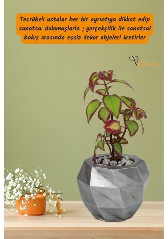 Evene Dekoratif Gümüş Eskitme Küçük Dönen Poly Model Saksı
