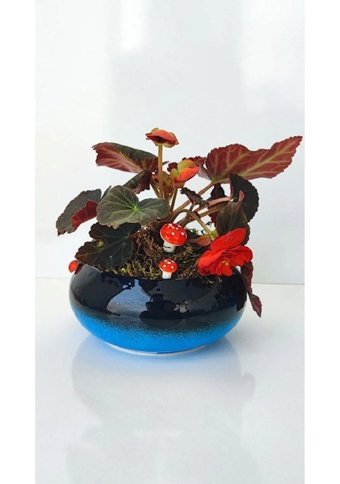 Rgs Çini El Yapımı Yuvarlak Bonsai Saksı
