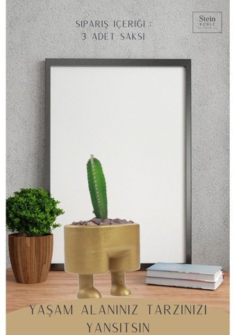 Evene Büyük Boy Pantolon Model 3 Adet Çiçek Saksı Altın