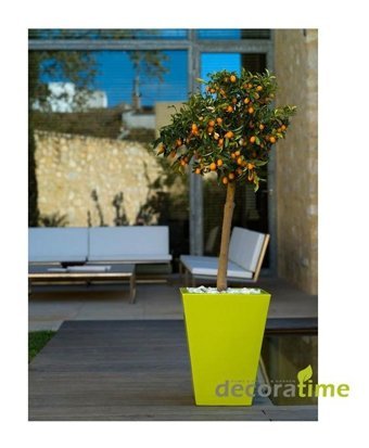 Decoratime Dekoratif Fiber Büyük Saksı