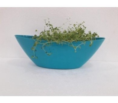 Asenya Plastik 2 Adet 7.5 lt Kayık Saksı Turkuaz