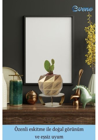 Evene Ahşap Ayaklı Beton Büyük Boy Dönen Poly Model Saksı Altın Eskitme