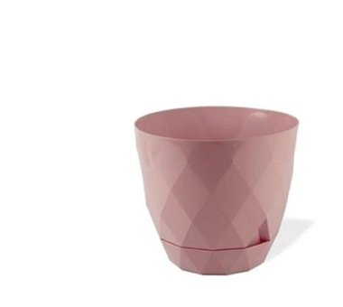 Şakro Home Karasu Plastık 2 Adet Karasu Yakamoz Saksı