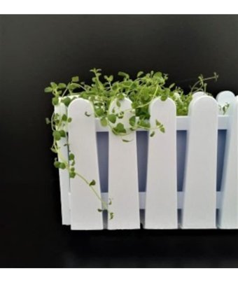 Asenya 9 lt Balkon Çit Saksı Beyaz