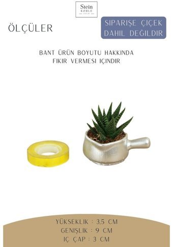 Evene Dekoratif Minik Kaktüs Tava Model Saksı Gümüş