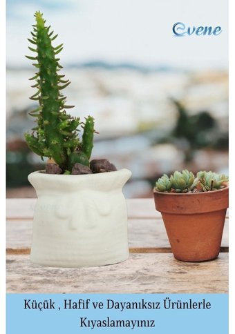 Evene Mini Sukulent Kaktüs Kese Model Saksı Beyaz
