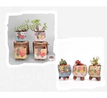 Florada Retro Sukulent Kaktüs Saksı 7 Adet