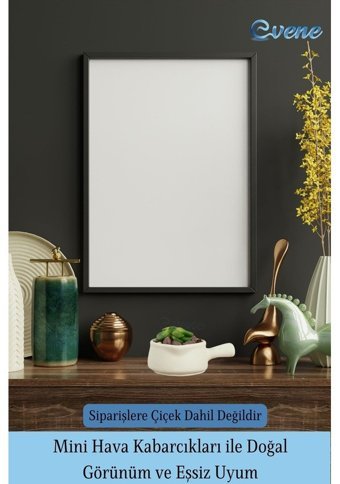 Evene Mini Sukulent Kaktüs Tava Model Saksı Beyaz