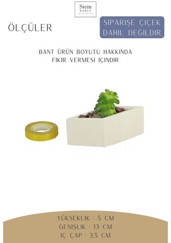 Evene Dekoratif Minik Kaktüs Dörtgen Model Saksı Beyaz