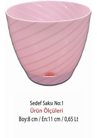 Montesev Sedef Çiçek 0.65 lt Saksı Pembe