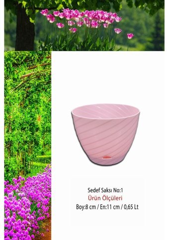 Montesev Sedef Çiçek 0.65 lt Saksı Pembe