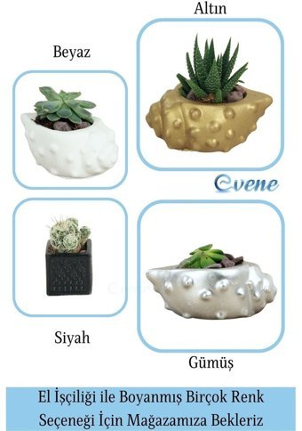 Evene Mini Sukulent Kaktüs Deniz Kabuğu Model Saksı Gümüş