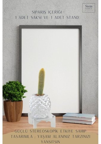 Evene Ayaklı Ahşap Büyük Boy 1 Adet Ananas Model Saksı Gümüş
