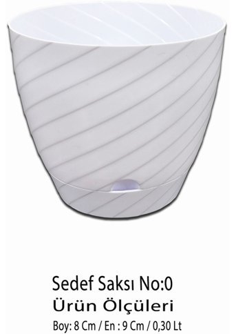 Montesev Sedef Çiçek 0.30 lt Saksı Beyaz