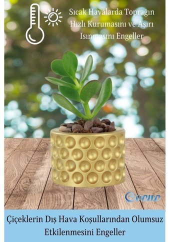 Evene Mini Çiçek Saksı Sukulent Kaktüs Puantiyeli Model Saksı Altın