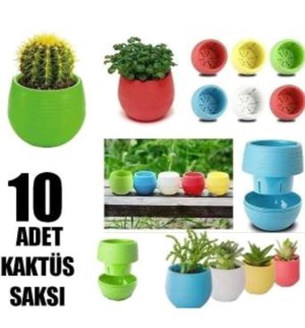Saban Plastik Mini 10 Adet Saksı Çok Renkli