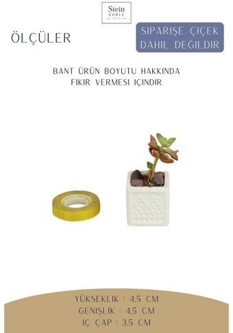 Evene Dekoratif Minik Kaktüs Kare Model Saksı Beyaz