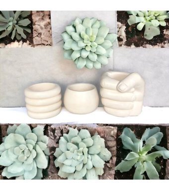 Cococraft Beton 3 Adet Skulent Saksı Gri