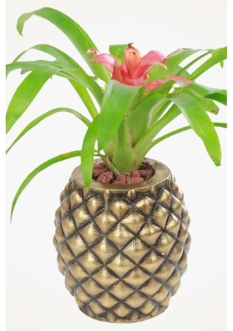 Evene Dekoratif Büyük Ananas Model Saksı Altın Eskitme