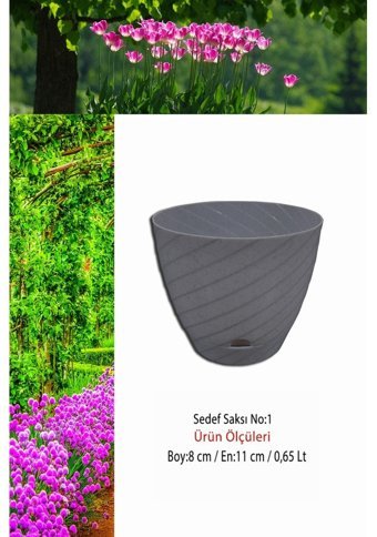Montesev Sedef Çiçek 0.65 lt Saksı Gri