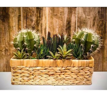 Euro Flora Dekoratif Seramik Saksı