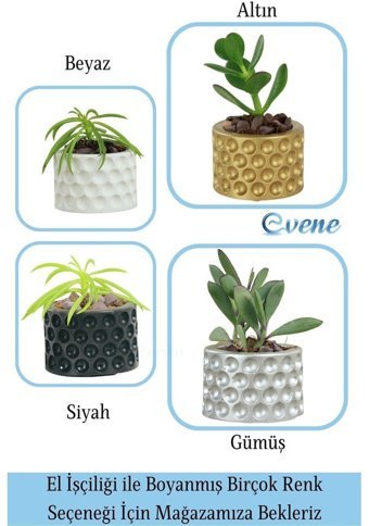 Evene Mini Küçük Sukulent Kaktüs Puantiyeli Model Saksı Gümüş