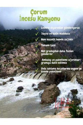 Leblebici Hanım Denizli Kavrulmuş Tuzsuz Çıtır Beyaz Leblebi 1800 gr