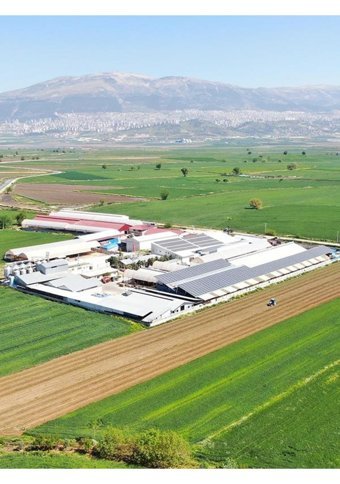 Akalp Çiftliği Ev Tipi Sebzeli Erişte 400 gr