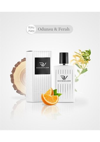 David Walker Sinens B54 EDP Çiçeksi - Odunsu Kadın Parfüm 50 ml