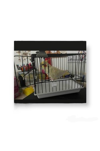 Islandtoys Kare Krom Muhabbet Kuşu Kafesi Beyaz