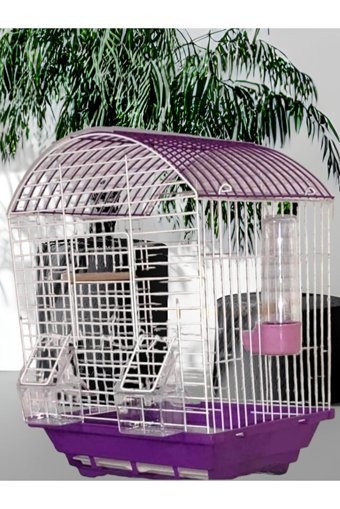 Eyni Petshop Çatılı Ayaklı Kare Krom Muhabbet Kuşu Kafesi Beyaz - Mor