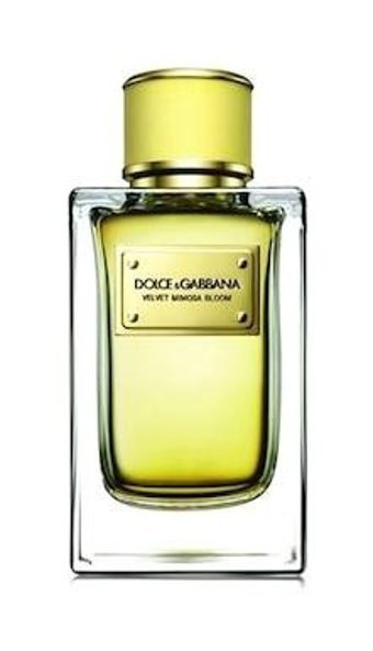 Dolce & Gabbana Velvet Mimosa Bloom EDP Çiçeksi Kadın Parfüm 150 ml