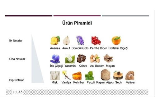 Lelas 1497 Odunsu Oda Kokusu 40 gr