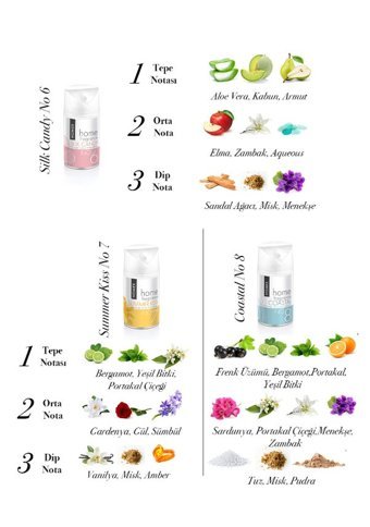 Homex Bahar Oda Kokusu 6x260 ml
