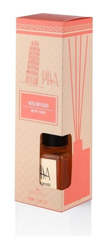 Pisa Kavun Oda Kokusu 100 ml