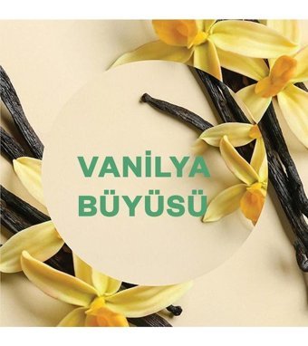 Air Wick Vanilya Oda Kokusu 19 ml
