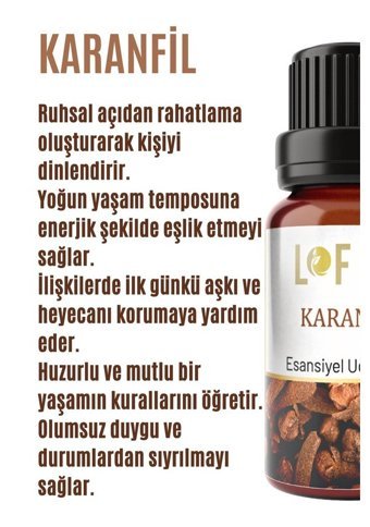 Lofty Karanfil Oda Kokusu 10 ml