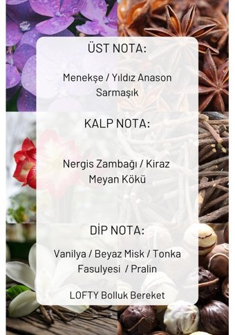 Lofty Bolluk Bereket Oda Kokusu 250 ml