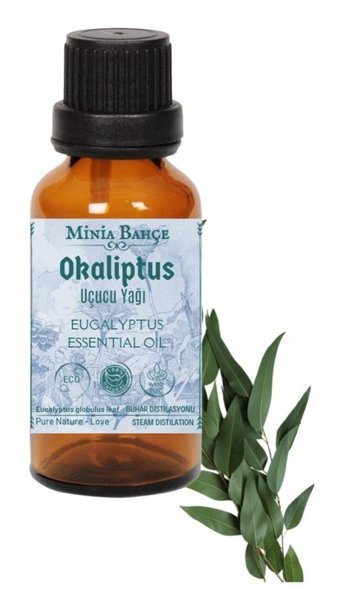 Minia Bahçe Okaliptus Oda Kokusu 10 ml