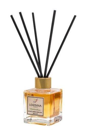 Lorinna Paris LRN.34.004 Natural Bambu Oda Kokusu 110 ml