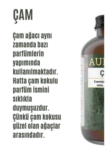 Auran Çam Ağacı Oda Kokusu 100 ml
