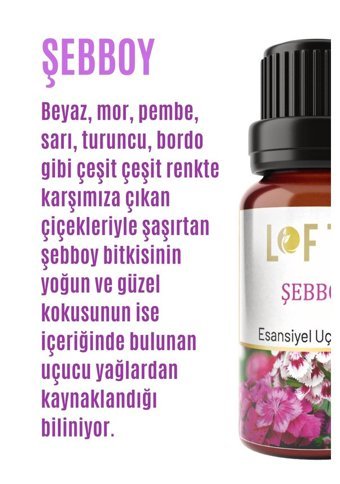 Lofty Şebboy Oda Kokusu 10 ml