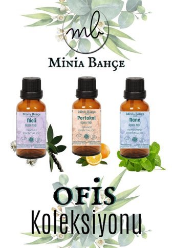 Minia Bahçe Portakal Oda Kokusu 10 ml